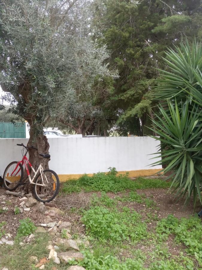 Villa Monte Da Samarra Avis Exterior foto