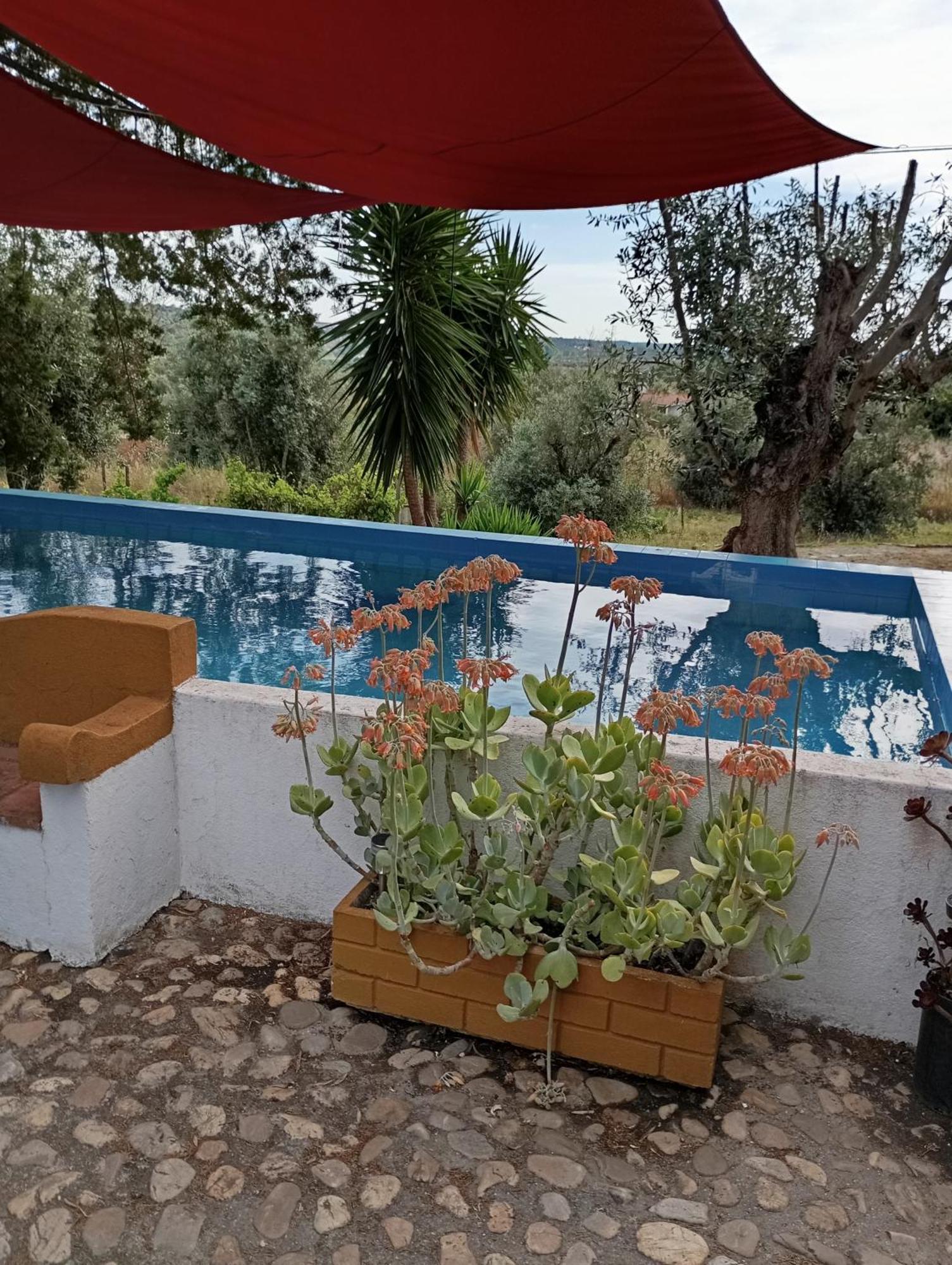 Villa Monte Da Samarra Avis Exterior foto